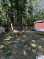4802 Buttercup Way - Photo 6