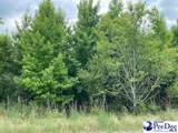 Lot 1-B Daniels Lane - Photo 5