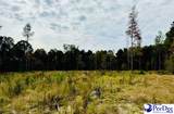 0000 Santa Anita Rd (Lot 9) - Photo 1