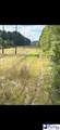 103.61 Acres Rucker Drive - Photo 13