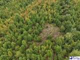 103.61 Acres Rucker Drive - Photo 14