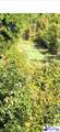 103.61 Acres Rucker Drive - Photo 15