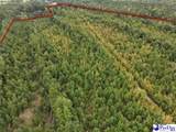 103.61 Acres Rucker Drive - Photo 16