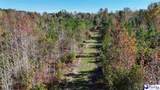 103.61 Acres Rucker Drive - Photo 17