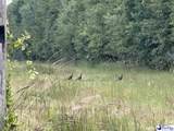 103.61 Acres Rucker Drive - Photo 18