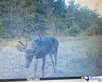 103.61 Acres Rucker Drive - Photo 20