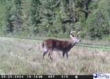 103.61 Acres Rucker Drive - Photo 22