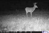 103.61 Acres Rucker Drive - Photo 24