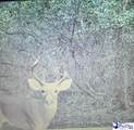 103.61 Acres Rucker Drive - Photo 25
