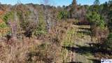 103.61 Acres Rucker Drive - Photo 27