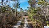 103.61 Acres Rucker Drive - Photo 29