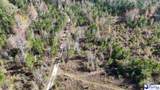 103.61 Acres Rucker Drive - Photo 30