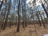 3 acres Springbranch Road - Photo 1