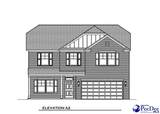 1167 Summer Duck Loop (Lot 56) - Photo 2