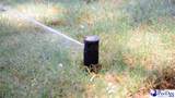 1167 Summer Duck Loop (Lot 56) - Photo 5