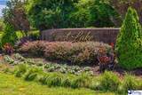 3429 Claude Douglas Circle - Photo 3