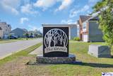 1166 Summer Duck Loop (Lot 24) - Photo 10
