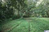 53 Acres Old River Rd - Photo 2
