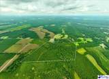 53 Acres Old River Rd - Photo 3