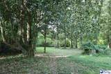 53 Acres Old River Rd - Photo 4