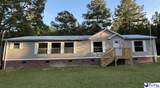1518 Effingham Highway - Photo 1