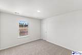 1236 Summer Duck Loop - Photo 32