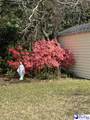 409 Wilson Drive - Photo 39