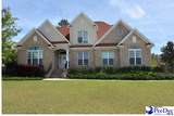 3032 Drakeshore Drive - Photo 1
