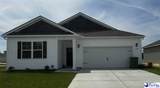 3304 Royal Star Lane - Photo 1