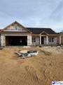 3033 Fincher Drive - Photo 1