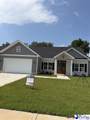 3021 Fincher Drive - Photo 1