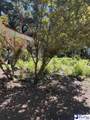 1109 Piano Rd - Photo 26