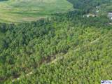 2384 Hwy 52 South - Photo 13