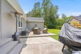1407 Palmetto Drive - Photo 50