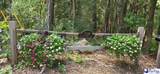 528 Segars Mill Rd - Photo 2