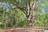 528 Segars Mill Rd - Photo 41
