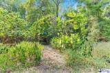 528 Segars Mill Rd - Photo 43