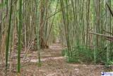 528 Segars Mill Rd - Photo 46