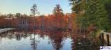 528 Segars Mill Rd - Photo 50