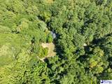 528 Segars Mill Rd - Photo 54