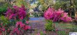528 Segars Mill Rd - Photo 59