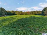 TBD Lum Vereen Rd.   (Tract-2C) - Photo 4