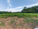 TBD Lum Vereen Rd.   (Tract-2C) - Photo 5