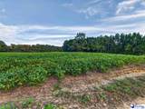 TBD Lum Vereen Rd.   (Tract-2C) - Photo 6