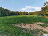 TBD Lum Vereen Rd.   (Tract-2C) - Photo 7