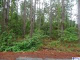  Palmetto Dr - Lot 49 - Photo 1