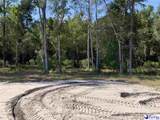 7329 National Cemetery Road - Photo 53
