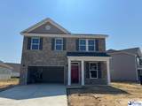 3722 Sunflower Bluff Drive (Lot 72) - Photo 1