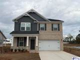 1155 Summer Duck Loop (Lot 53) - Photo 1