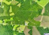 53 Acres Old River Rd - Photo 1